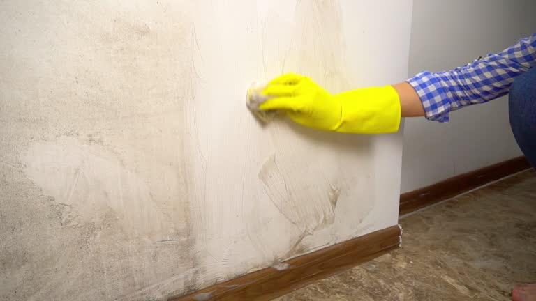 Best Post-Construction Mold Inspection  in Orange City, FL
