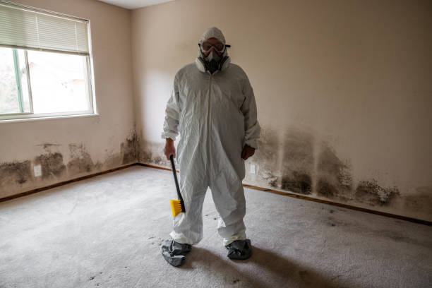 Best Mold Removal for HVAC Installations  in Orange City, FL
